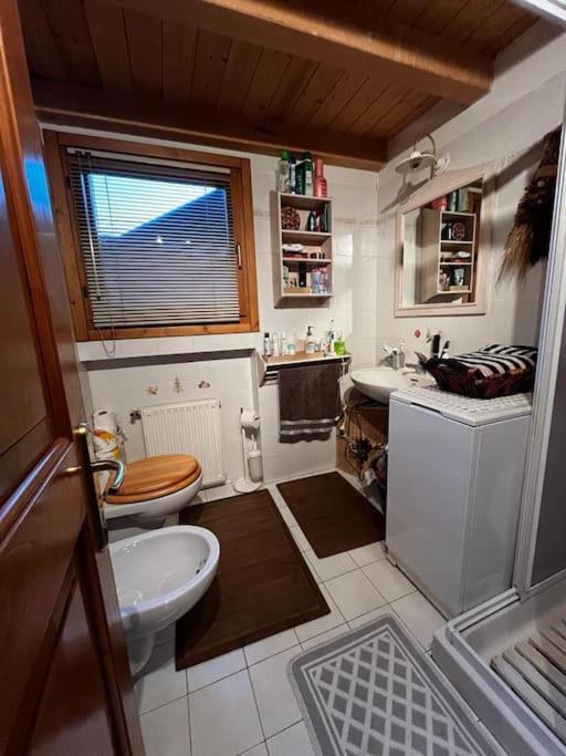 Appartamento "Fresia" Chalet Turistico A Fisto Spiazzo  Esterno foto