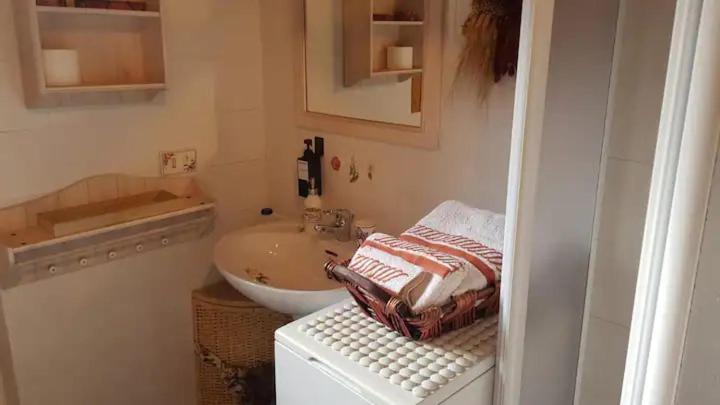 Appartamento "Fresia" Chalet Turistico A Fisto Spiazzo  Esterno foto