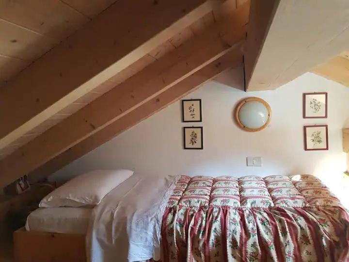Appartamento "Fresia" Chalet Turistico A Fisto Spiazzo  Esterno foto